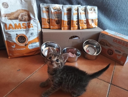 Spolek pro ochranu koček a psů Jablunkovsko z.s.